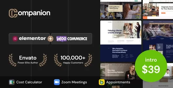 Companion - WordPress Theme for Business Consulting