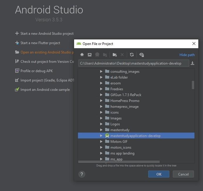 set up android studio icon